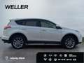 Toyota RAV 4 2.5 4x2 Hybrid Executive *360°*AHK*CAM*PDC* Weiß - thumbnail 10