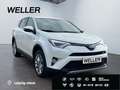 Toyota RAV 4 2.5 4x2 Hybrid Executive *360°*AHK*CAM*PDC* Weiß - thumbnail 4