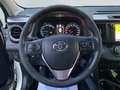 Toyota RAV 4 2.5 4x2 Hybrid Executive *360°*AHK*CAM*PDC* Weiß - thumbnail 13