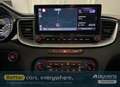 Kia XCeed 1.6 GDI DCT6 OPF Plug-in-Hybrid - thumbnail 11