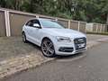 Audi SQ5 3.0 TDI quattro/Standheiz/ACC/Spurass/Aktivlenkung Weiß - thumbnail 4