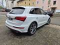 Audi SQ5 3.0 TDI quattro/Standheiz/ACC/Spurass/Aktivlenkung Weiß - thumbnail 3