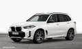 BMW X5 M60i xDrive Panorama Harman/Kardon Driving&Parking Weiß - thumbnail 2