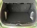 Ford Kuga 1.5 EcoBoost Aut. Titanium +GJR+Matrix-LED Grün - thumbnail 15