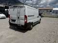 Citroen Jumper Bus 30 L1H1 BlueHDi 120 S&S 6-Gang - thumbnail 5