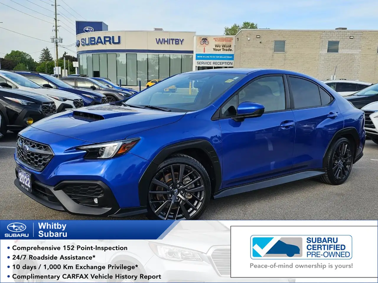 2022 Subaru WRX