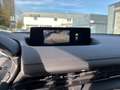 Mazda MX-30 Advantage LED KAMERA NAVI Weiß - thumbnail 18