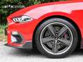 Ford Mustang 5.0 Ti-VCT V8 ** MACH 1 ** Rot - thumbnail 4