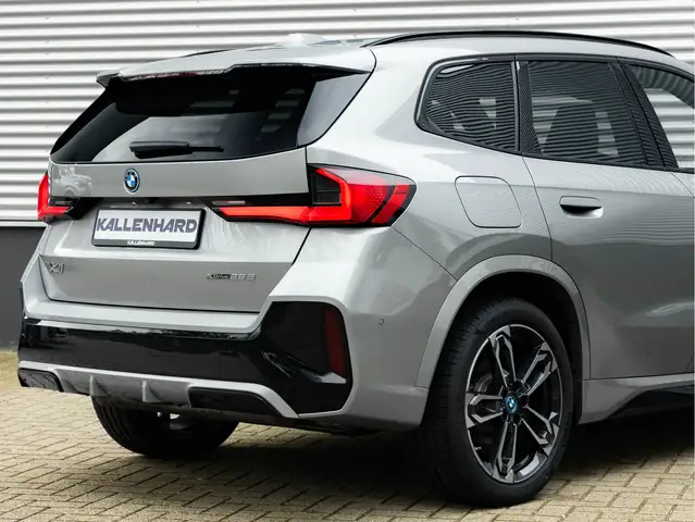 BMW X1 view 11