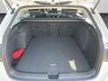 Volkswagen Golf Variant Style 1.5 TSI LED KEYLESS REAR VIEW Weiß - thumbnail 15