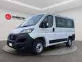 Fiat Ducato 33 2.2 Mjt 140CV PC-TN Combi +IVA Blanc - thumbnail 1