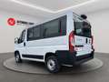 Fiat Ducato 33 2.2 Mjt 140CV PC-TN Combi +IVA Blanc - thumbnail 3