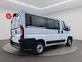 Fiat Ducato 33 2.2 Mjt 140CV PC-TN Combi +IVA Blanc - thumbnail 4