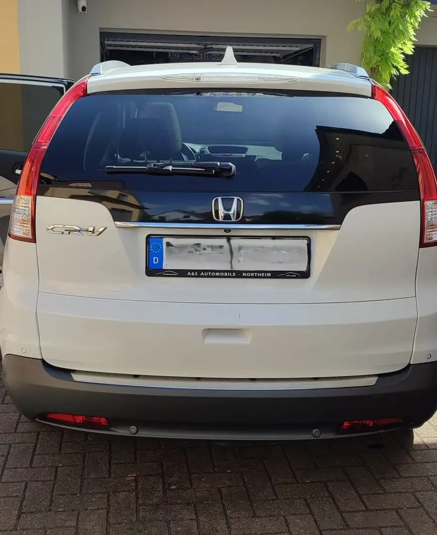 Honda CR-V CR-V 2.0i-VTEC 4WD Executive Weiß - 2