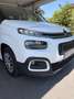 Citroen Berlingo BlueHDI 130 S&S Shine EAT8 Aut. Weiß - thumbnail 3