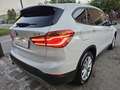 BMW X1 Sdrive 16d 115cv Business*Pelle*Navi*Bi-Xeno*Pdc* Bianco - thumbnail 6