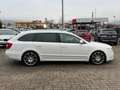 Skoda Superb Combi Elegance/Pano/Sitzbelüftung/Tempo Weiß - thumbnail 4