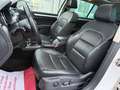 Skoda Superb Combi Elegance/Pano/Sitzbelüftung/Tempo Weiß - thumbnail 9