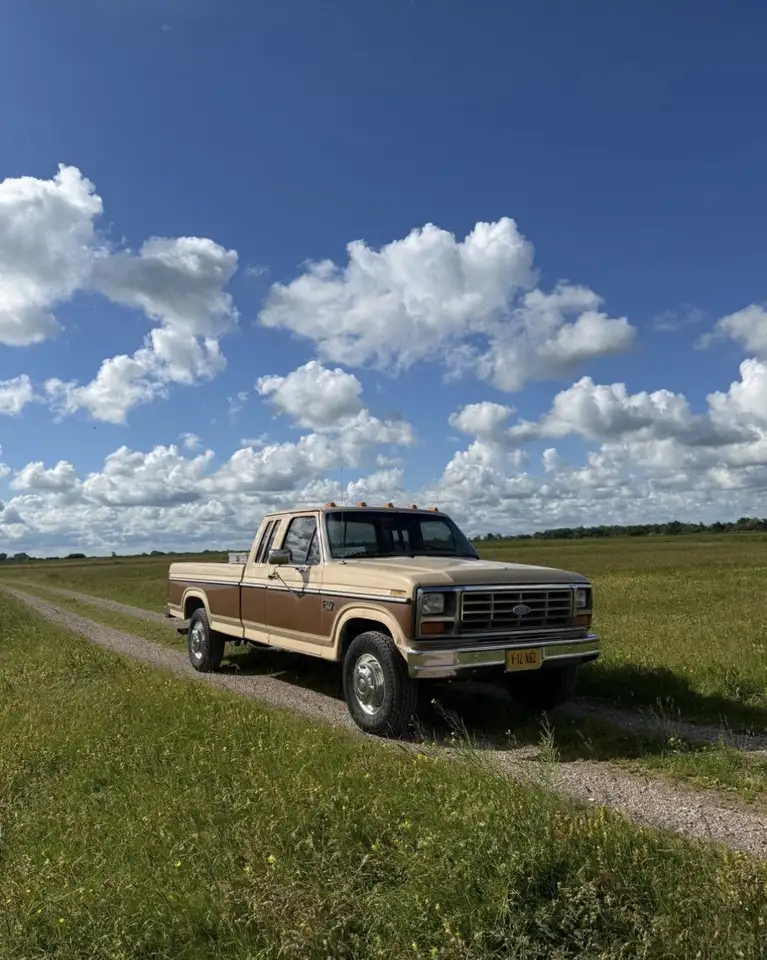 Ford F 250 1985 6.9 Idi Diesel Xlt, foto 3