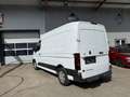 Renault Master Kasten L2H2 3,3t dCi 130 Extra Weiß - thumbnail 7