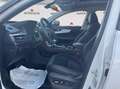 Sportequipe Sportequipe 6 1.5 turbo Gpl 149cv cvt Weiß - thumbnail 10