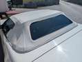 Corvette C4 c4 Cabrio Bianco - thumbnail 12