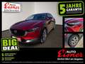 Mazda CX-30 G150 Comfort+/SO/ST Rot - thumbnail 1