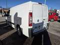 Fiat Scudo 120 2.0Multijet con 211.000km Passo lungo Blanc - thumbnail 7