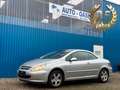 Peugeot 307 CC Cabrio-Coupe Filou 110 Grau - thumbnail 1