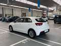 Kia Rio 1.2 DPi Concept 84 Blanco - thumbnail 5