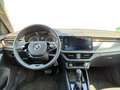 Skoda Kamiq Clever #Automatik #AHK #SmartLink #DAB Klima Blau - thumbnail 10