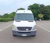 Mercedes-Benz Sprinter F37/33 310 CDI TN 3Posti*Clima*Aux Weiß - thumbnail 2