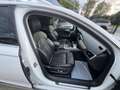 Audi A6 allroad A6 allroad 3.0 TDI 272 CV S tronic Business Plus Weiß - thumbnail 24