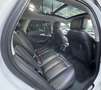 Audi A6 allroad A6 allroad 3.0 TDI 272 CV S tronic Business Plus Weiß - thumbnail 27