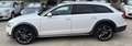 Audi A6 allroad A6 allroad 3.0 TDI 272 CV S tronic Business Plus Weiß - thumbnail 8