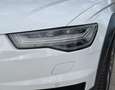 Audi A6 allroad A6 allroad 3.0 TDI 272 CV S tronic Business Plus Weiß - thumbnail 28