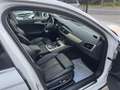 Audi A6 allroad A6 allroad 3.0 TDI 272 CV S tronic Business Plus Weiß - thumbnail 23