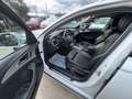 Audi A6 allroad A6 allroad 3.0 TDI 272 CV S tronic Business Plus Weiß - thumbnail 14