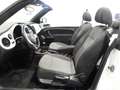 Volkswagen Maggiolino CABRIOLET 1.6 TDI 105CV DESIGN (2014) Bílá - thumbnail 9
