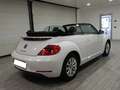 Volkswagen Maggiolino CABRIOLET 1.6 TDI 105CV DESIGN (2014) Bílá - thumbnail 5