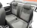 Volkswagen Maggiolino CABRIOLET 1.6 TDI 105CV DESIGN (2014) Bílá - thumbnail 12