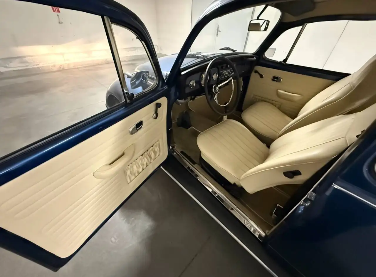 Volkswagen Beetle 1969 Volkswagen Beetle 1500 (Type 113), foto 4