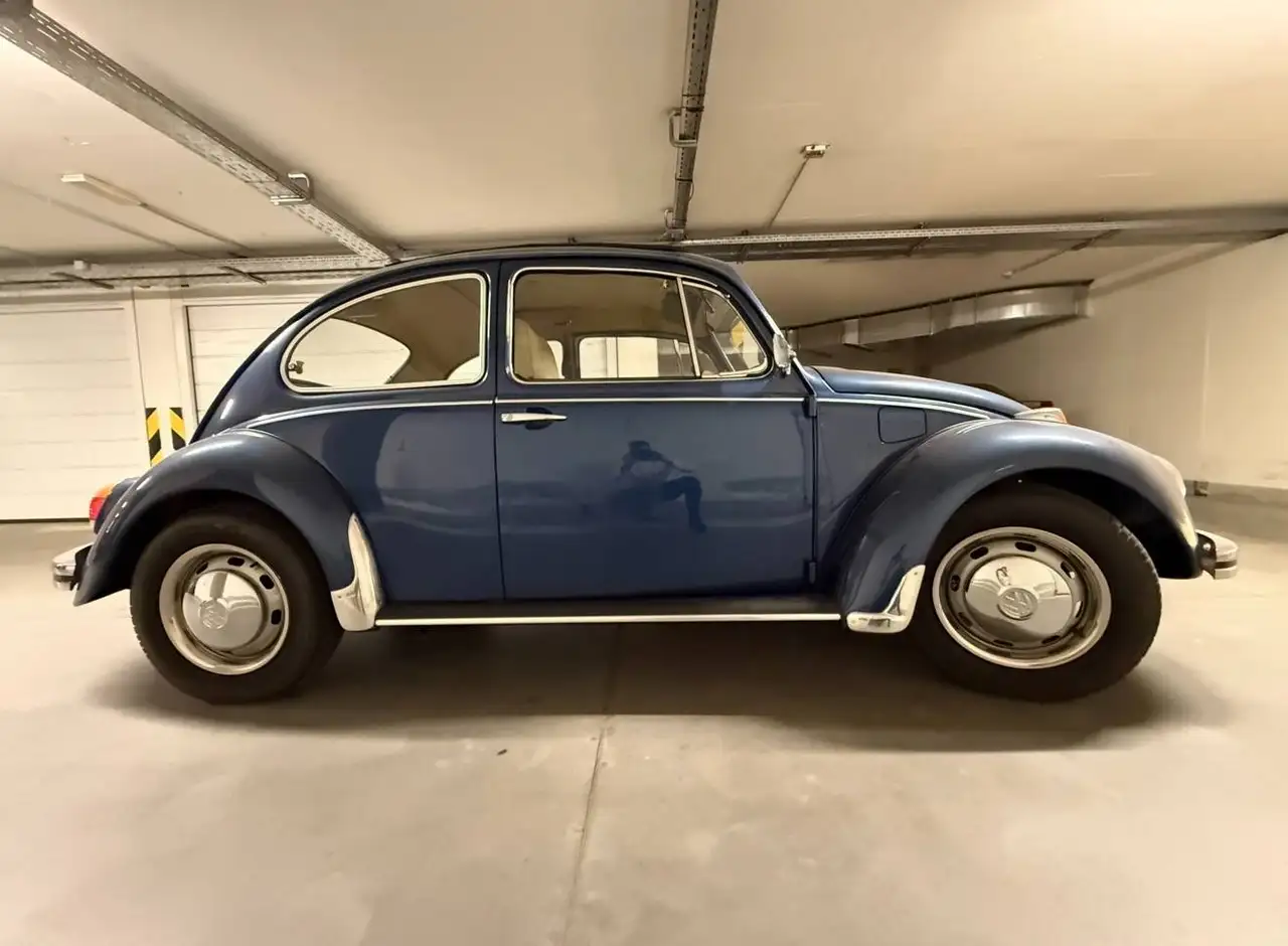 Volkswagen Beetle 1969 Volkswagen Beetle 1500 (Type 113), foto 2
