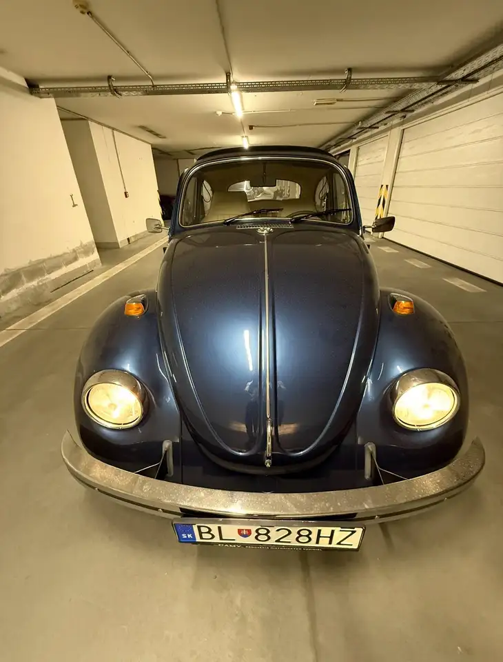 Volkswagen Beetle 1969 Volkswagen Beetle 1500 (Type 113), foto 9