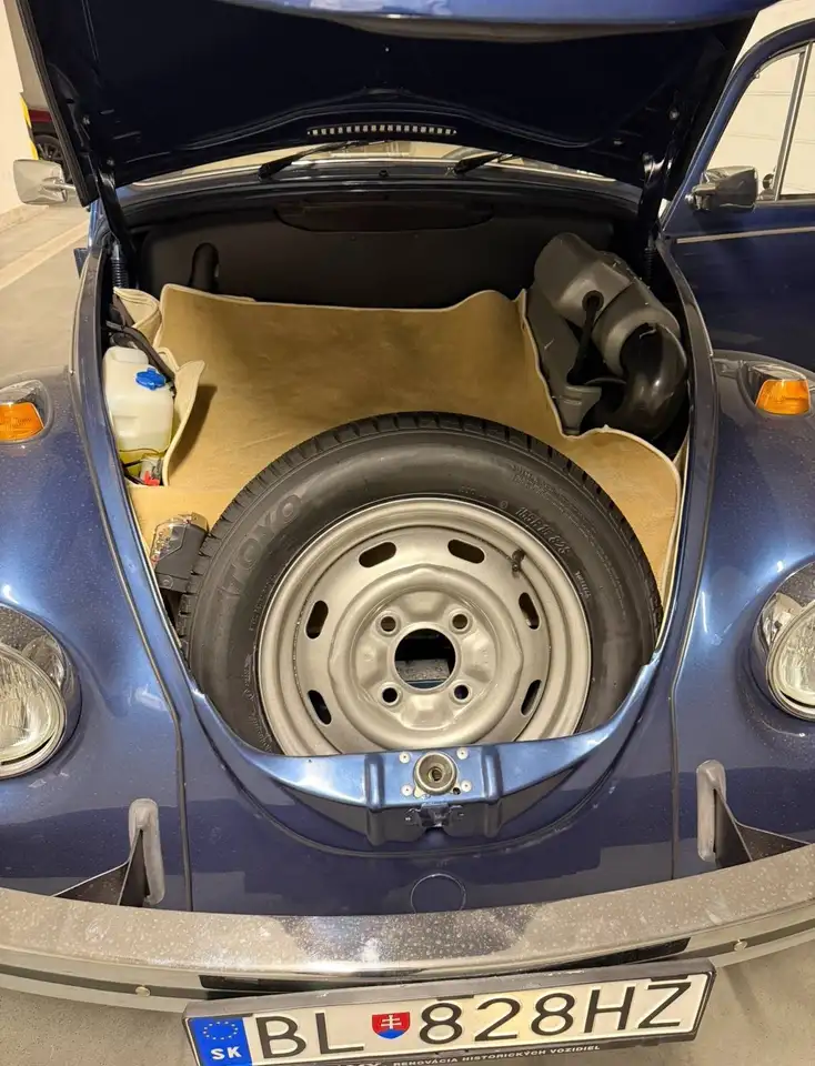 Volkswagen Beetle 1969 Volkswagen Beetle 1500 (Type 113), foto 11