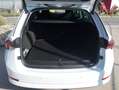 Skoda Octavia Combi 2,0 TDI Style DSG *Kamera/adaptiverTempomat* Weiß - thumbnail 9