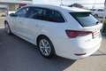 Skoda Octavia Combi 2,0 TDI Style DSG *Kamera/adaptiverTempomat* Weiß - thumbnail 5
