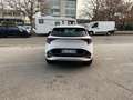 Kia Sportage 1.6 crdi mhev GT-line Plus Premium Pack AWD Bianco - thumbnail 8