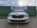 Skoda Superb Combi 2.0TDI AdBlue Style DSG6 140kW Blanc - thumbnail 2