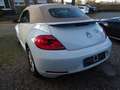 Volkswagen Beetle Cabriolet Design Navi PDC SHZ TOP Blanc - thumbnail 12